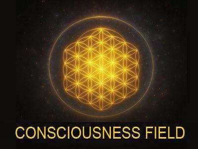 Consciousness-field